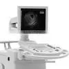 MCB-8500 High Definition Black and White Ultrasound Machine Best Price for Portable Echographe Doppler Mindray thumbnail-1