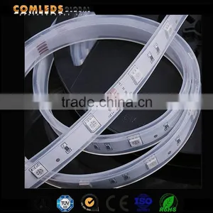 24 Volt Led Lamp , Led Garden Lawn Lamp Rgb Strip Light thumbnail-3