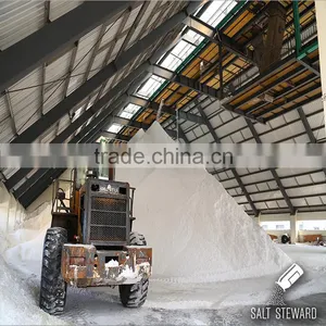Industrial Salt Prices per Ton thumbnail-1