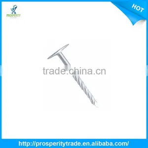 Decorative Brass Nails thumbnail-1
