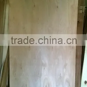 Viet Nam Suppliers 1.5 - 2.0 mm Eucalyptus Veneer thumbnail-6