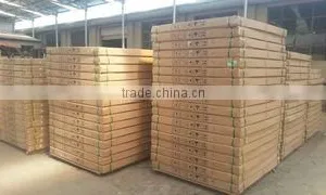 Langfang Sengo Sports Goods Co., Ltd. company overview - view 3 thumbnail