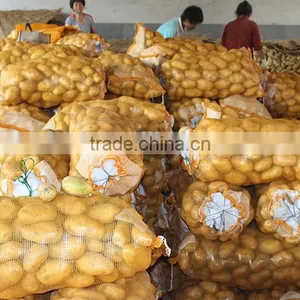 Fresh Potato From Chinese Holland Potato Farms thumbnail-3