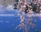High Glossy Polyester Oil Canvas thumbnail-1
