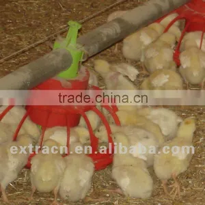 Poultry Feeding System thumbnail-1