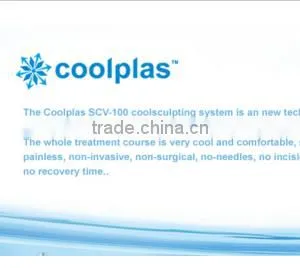 Stationary Fat Freezing Cryotherapy Machine 3 Interchangeable Cryo Handles thumbnail-4