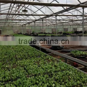 Kangbao County Wo Yuan Modern Agricultural Development Co., Ltd. company overview - view 1 thumbnail