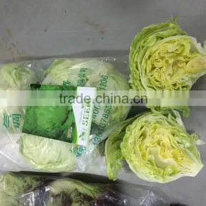 Fresh Lettuce for Sale Good Quality thumbnail-3