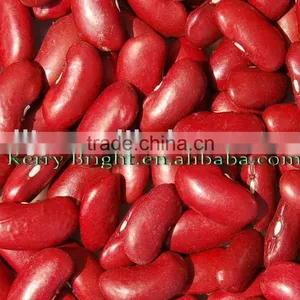 Red Kidney Bean thumbnail-1