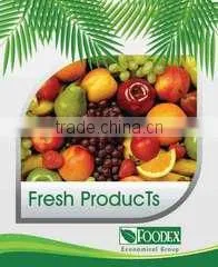 Foodex Company For Import And Export company overview - view 3 thumbnail