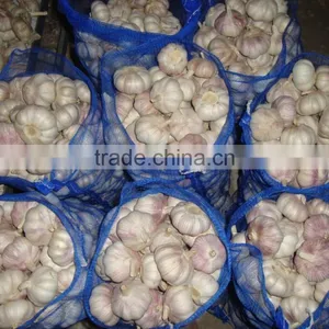 YUYUAN Brand Hot Sail Fresh Garlic Countries Production of Garlic thumbnail-1