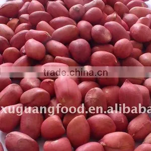 Chinese Factory Peanut Kernels & Blanched Peanut Kernels thumbnail-3