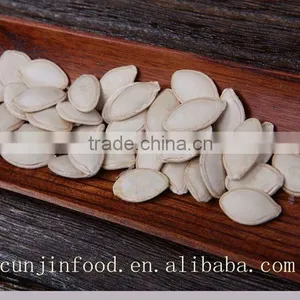 Pumpkin Seeds thumbnail-4