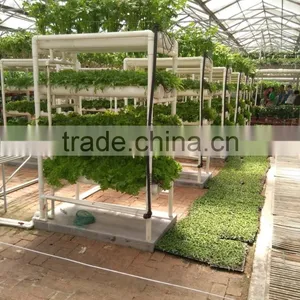 Multi-span Hydroponic China Greenhouses thumbnail-1