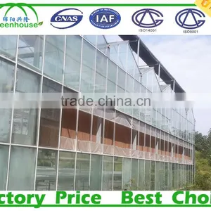 High Light Transmission Multi-span Glass Greenhouse thumbnail-2
