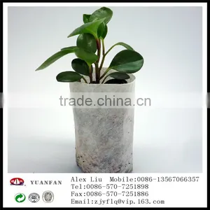 Landscape Gardening pp Nonwoven Fabrics Used To Protect the Plant Roots thumbnail-2