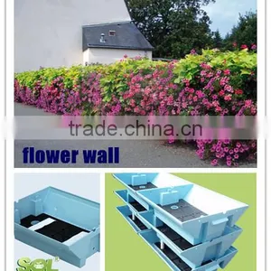 2015 SOL Colored PLASTIC Vegetable Container Automatic Watering Pot thumbnail-4
