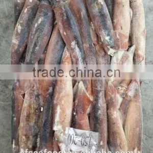 Frozen Seafood Importers of Illex Squid thumbnail-3