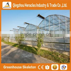 Heracles Trade Assurance Commercial Hydroponics Greenhouse thumbnail-6