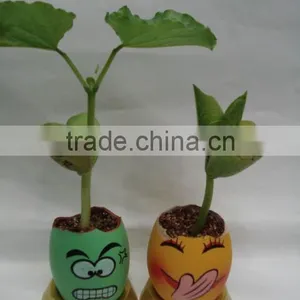 Magic Egg With Abundant Faces With Customized Magic Bean With Tray thumbnail-1