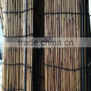 Black Bamboo Sticks/bamboo Canes/bamboo Poles thumbnail-3
