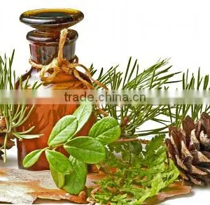 Pine Oil thumbnail-3