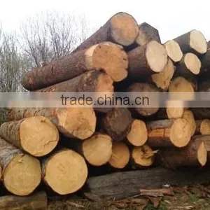 Round Logs thumbnail-1