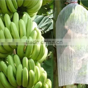 Polyester Spunbond Non-woven Fabric thumbnail-1