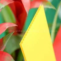 XINHAI Twin Wall Polycarbonate Sheet Price Buildingmaterial thumbnail-1