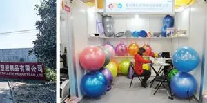 Changzhou Bingehua International Trade Co., Ltd. company overview - view 1 thumbnail