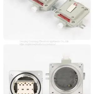 Explosion-proof Wall Switch BQK One Two Three Four Has the Certificate Lighting Switch thumbnail-3