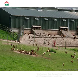Chicken House Designs for Small Scale thumbnail-4