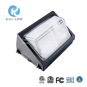LED Wall Pack Light Factory Wholesale, IP65 Waterproof, North America Lighting thumbnail-3