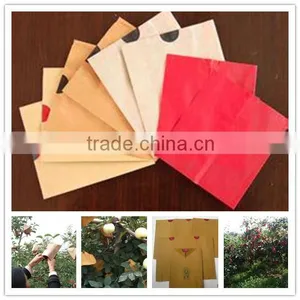Hot Selling Apple Growing Paper Bag thumbnail-3