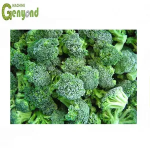 Shanghai Fruit and Vegetable Cold Storage Room thumbnail-2