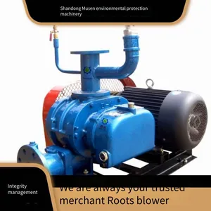 Roots Blower With a Rotation Speed of 800 - 1800 R/min, 15kw, Multiple Specifications Available, Top - Inlet and Side - Outlet, Cast Iron thumbnail-1