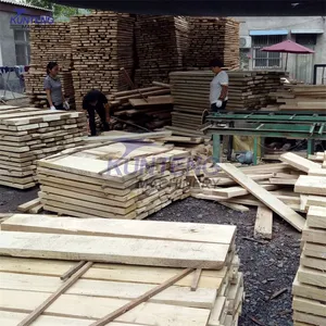 Large Scale Wood Board Drying Machine Camphor Walnut Rosewood Date Palm Oak Drying Oven thumbnail-4