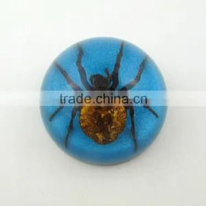2016 New Style Business Particularly Paperweight With Real Insect Spide thumbnail-1