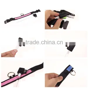 Led Dog Collar With Insulation Sheet in Stock! thumbnail-1