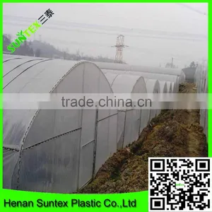 Suntex HDPE Nursery Roof Anti Insects Sail Shade Netting thumbnail-1