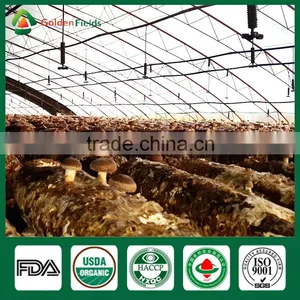 Health Benefits Shiitake Mushrooms,Fresh Shiitake Mushrooms,Fresh Shiitake thumbnail-3