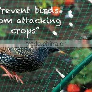 Anti Bird Net thumbnail-1
