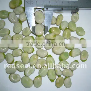 IQF Fava Beans or Broad Beans thumbnail-1