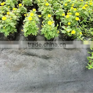 Weed Control Fabric,textile,geotextile thumbnail-4