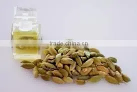 Cardamom Oil Extracted From Elettaria Cardomomum thumbnail-4