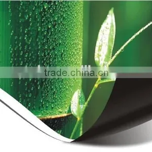 Outdoor Frontlit 340G PVC Flex Banner Poster thumbnail-3