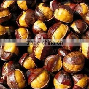 Import Bulk China Large Chestnuts Kernels for Sale Price thumbnail-1