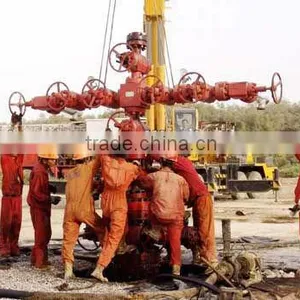 API Oil & Gas Extraction Equipment X-mas Tree Oil and Gas Production Wellhead thumbnail-1