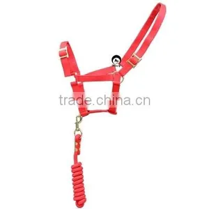 Customized Design Your Own Horse Halter thumbnail-3