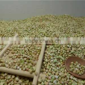 Good Manufacture of Raw Buckwheat Kernel Crop 2016 thumbnail-1